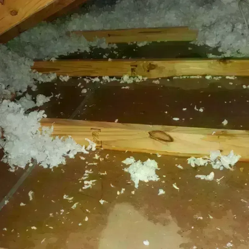 Attic Water Damage in Zion, PA