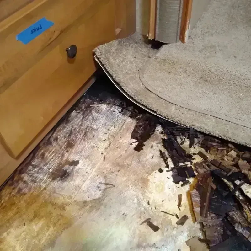 Wood Floor Water Damage in Zion, PA